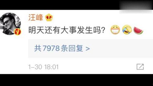 娱乐718吃瓜网官网,揭秘娱乐圈最新“瓜田”，带你领略明星幕后故事